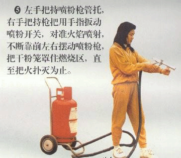 说明: http://www.hyey.com/Health/UploadFiles_9947/200902/20090223120256553.jpg